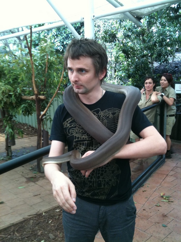 Muse