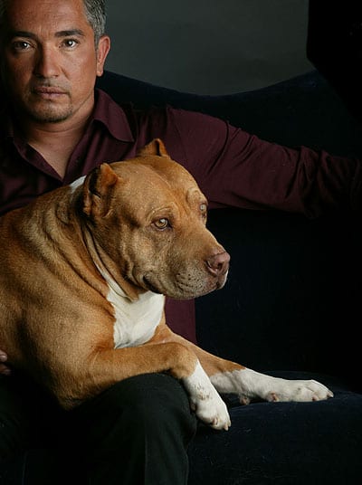 Cesar Millan