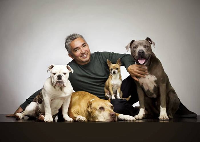 Cesar Millan