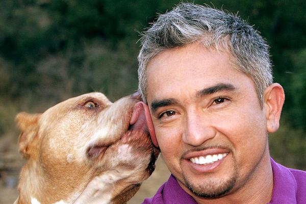 Picture of Dog Whisperer with Cesar Millan