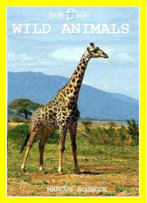 Wild Animals