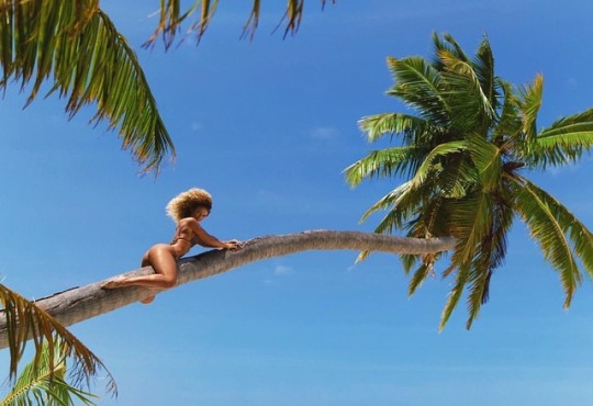 Jena Frumes Jena Frumes
