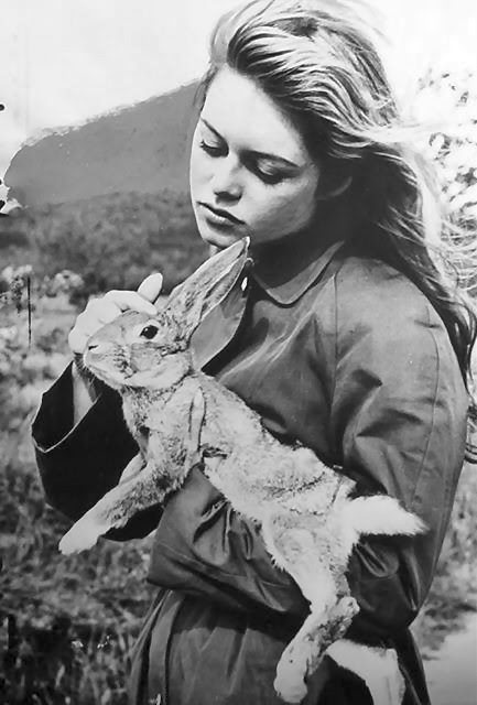 Brigitte Bardot