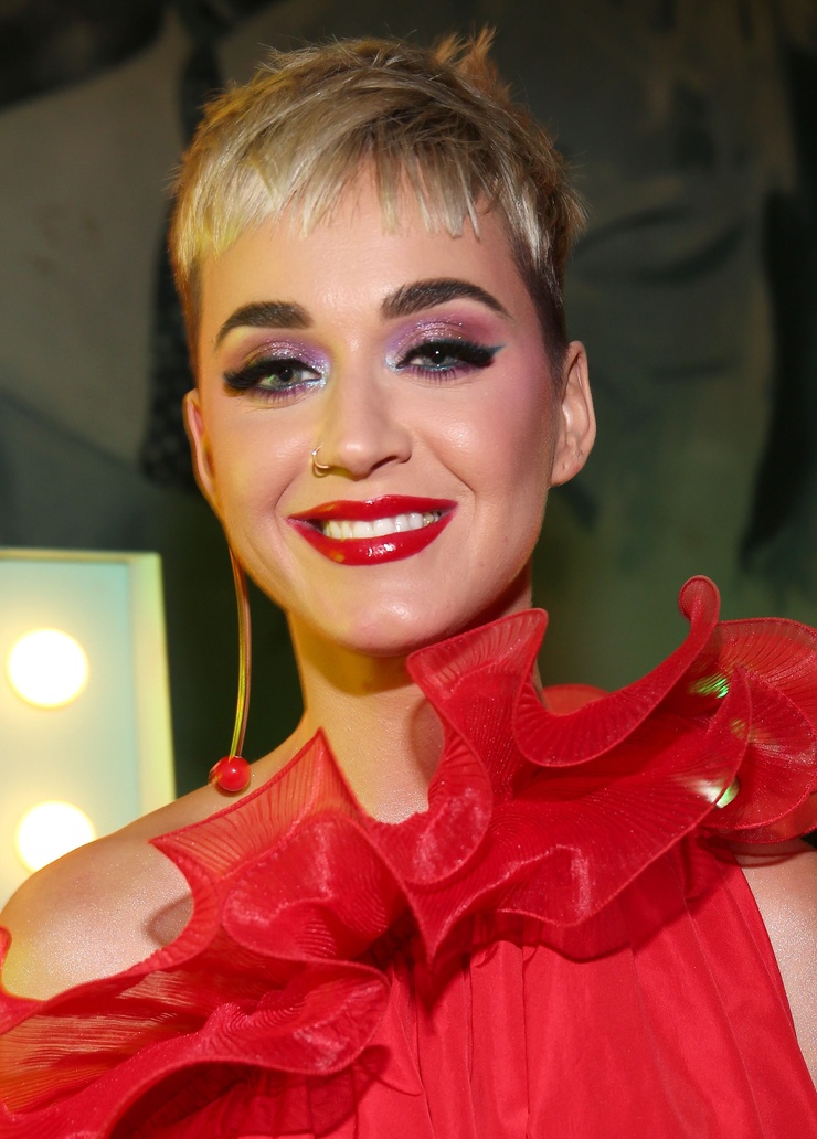 Katy Perry Katy Perry