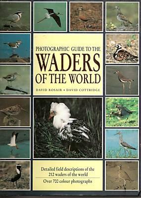 Photographic Guide to the Waders of the World