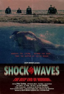 Shock Waves