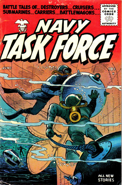 Navy Task Force