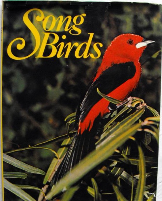 Song Birds