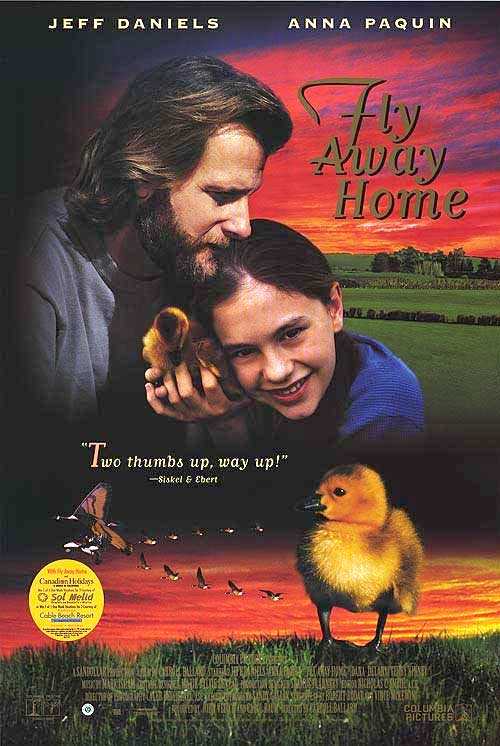 Fly Away Home