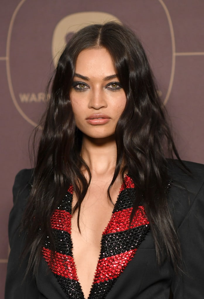 Shanina Shaik