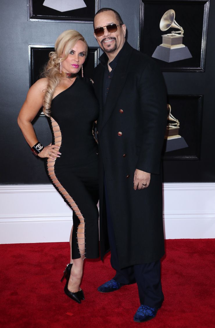 Ice-T