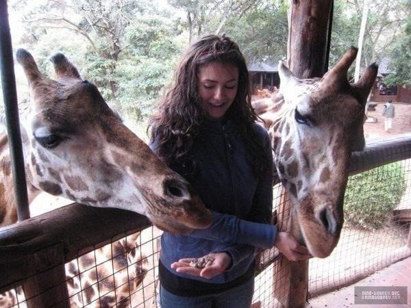Nina Dobrev Nina Dobrev