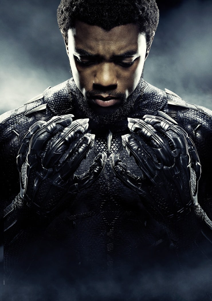 T'Challa / Black Panther (Chadwick Boseman)