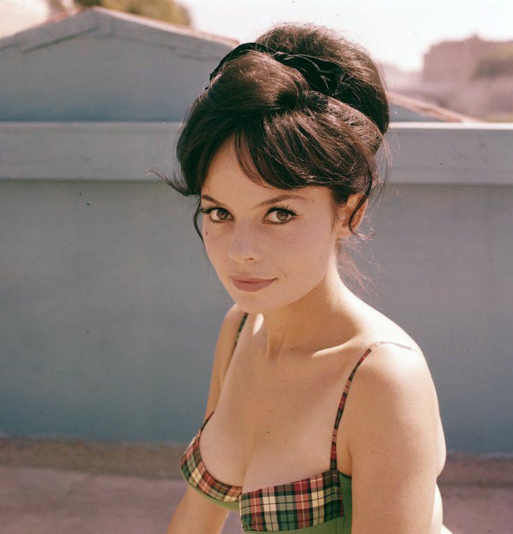 Pascale Petit Pascale Petit