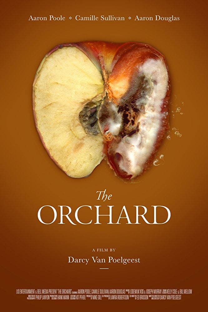 The Orchard The Orchard