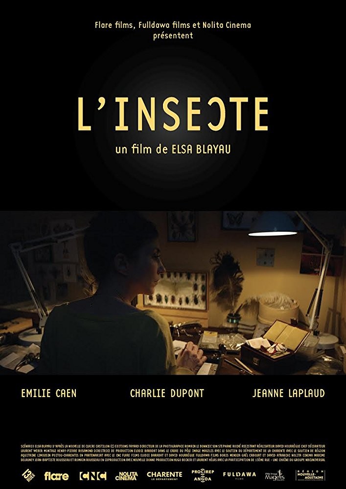 L'insecte