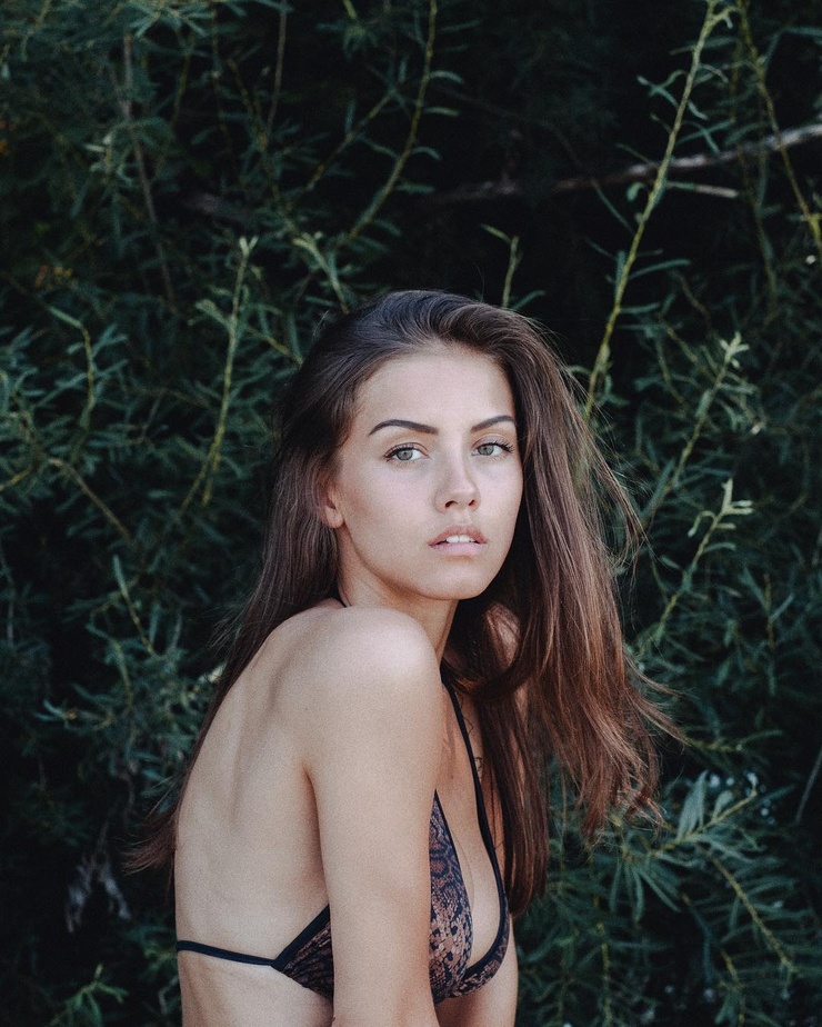 NICOLA CAVANIS NICOLA CAVANIS