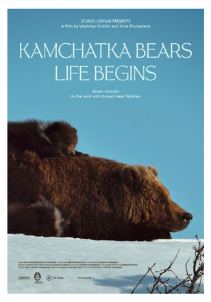 Kamchatka Bears. Life Begins