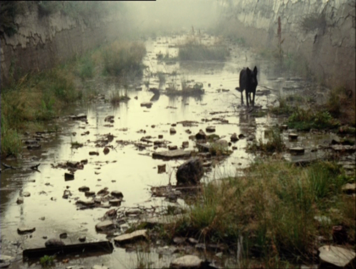 Stalker (1979)