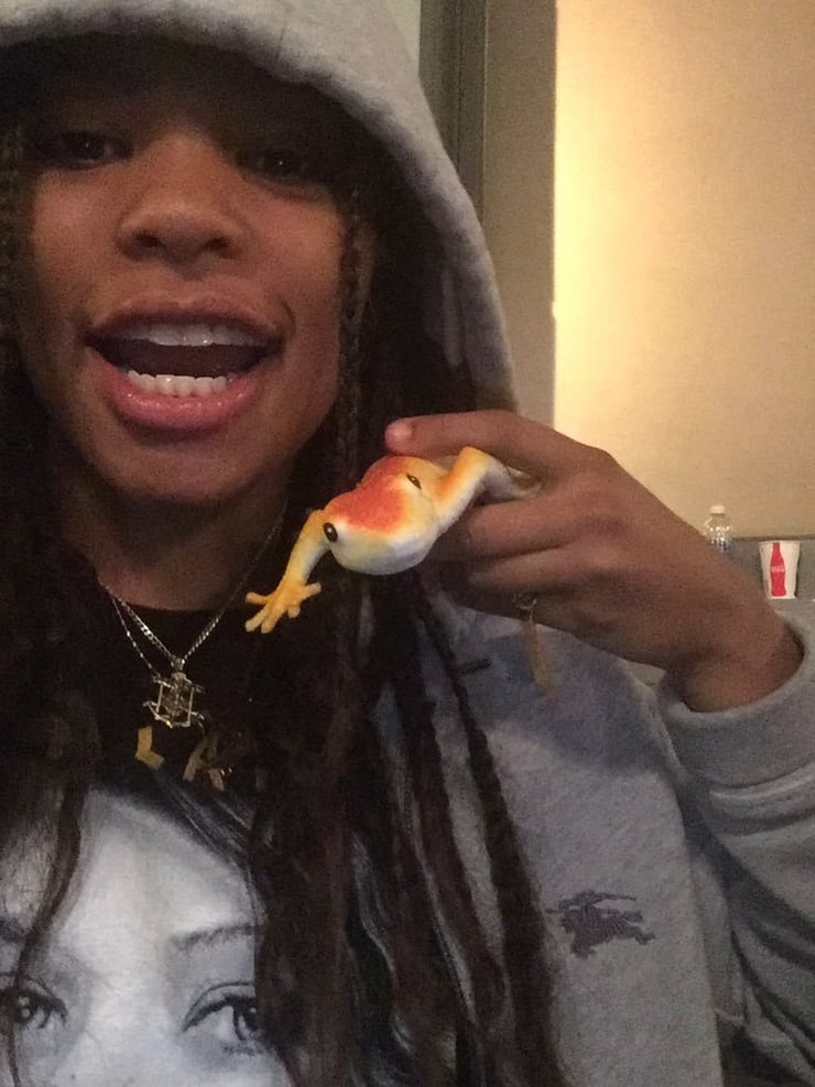 Kodie Shane