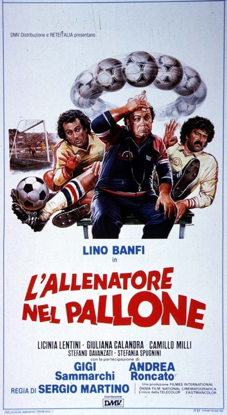 L'allenatore nel pallone image