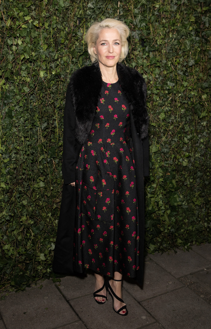 Gillian Anderson