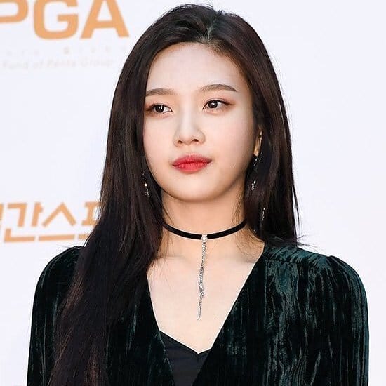 Joy (Park Soo Young)