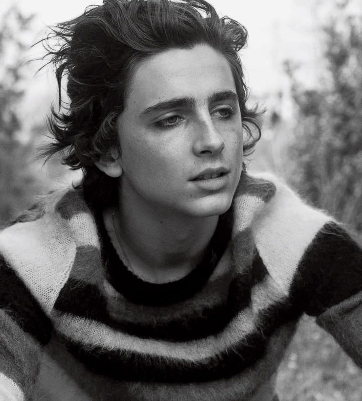 Timothée Chalamet