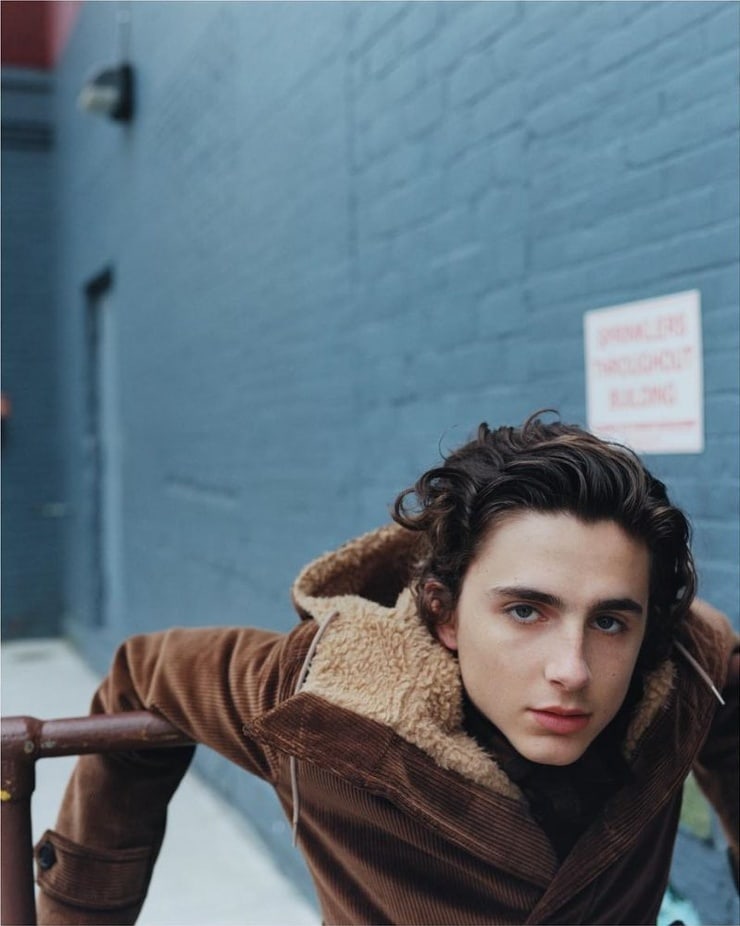 Timothée Chalamet