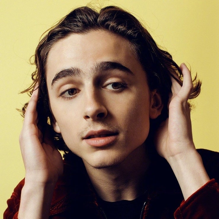 Timothée Chalamet