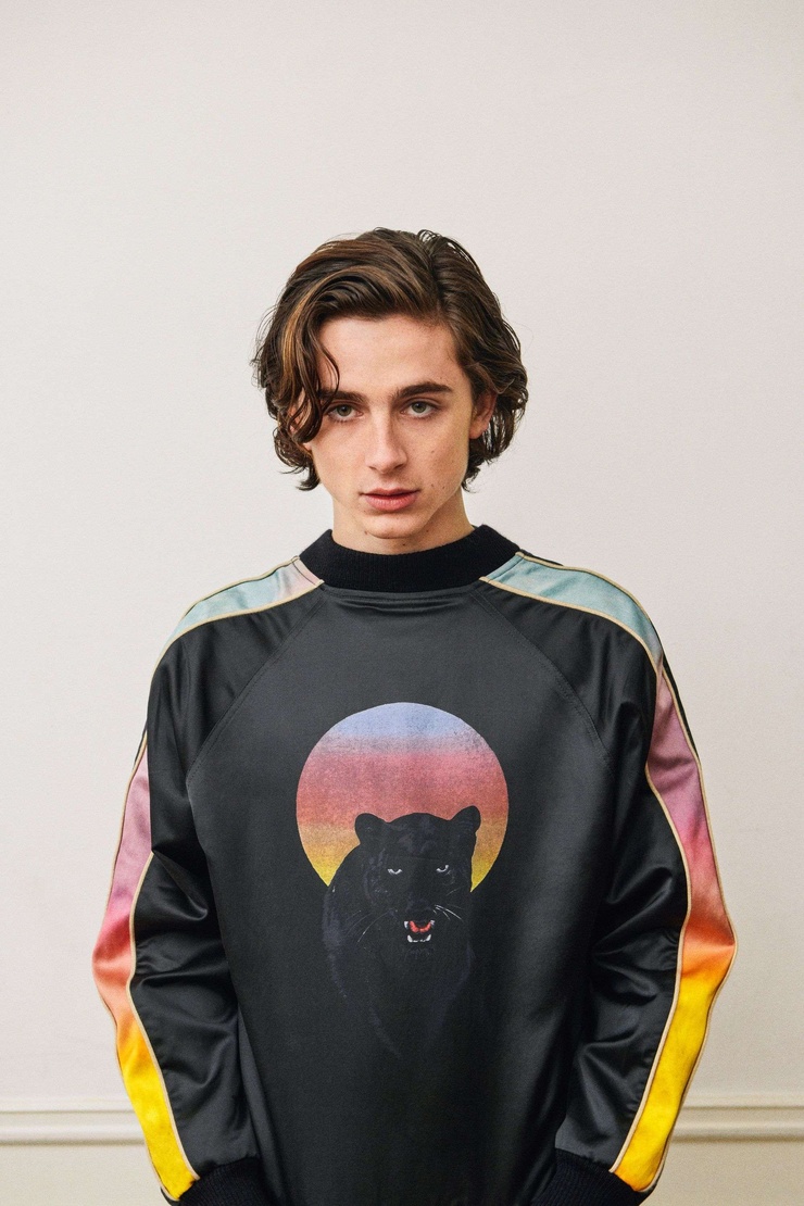 Timothée Chalamet Timothée Chalamet