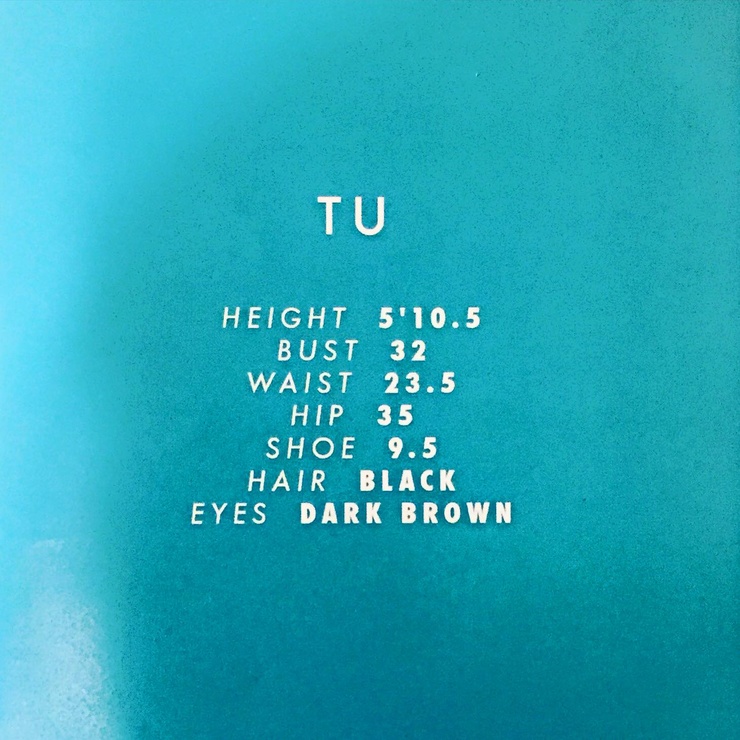 Minh Tu