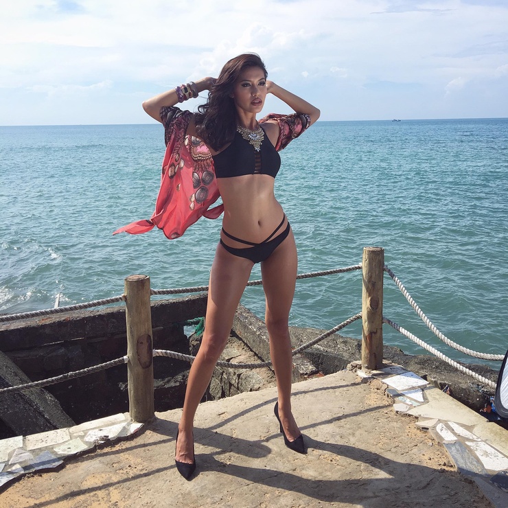 Minh Tu