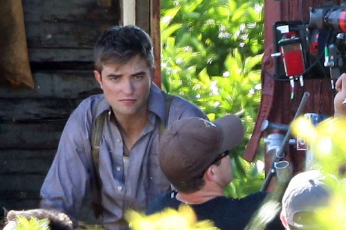 Water for Elephants