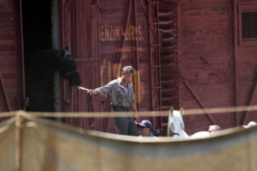Water for Elephants