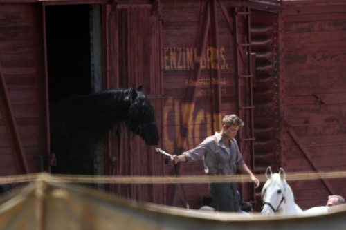 Water for Elephants