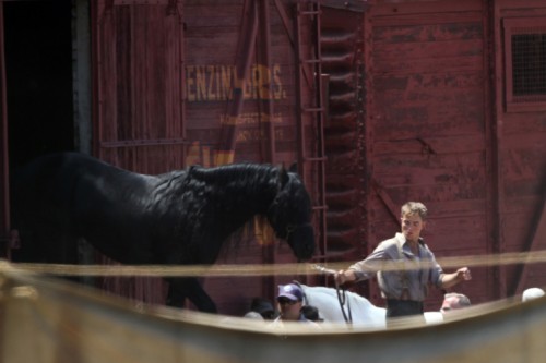 Water for Elephants