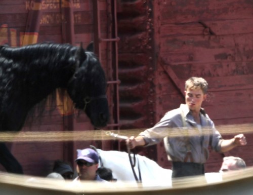 Water for Elephants Water for Elephants