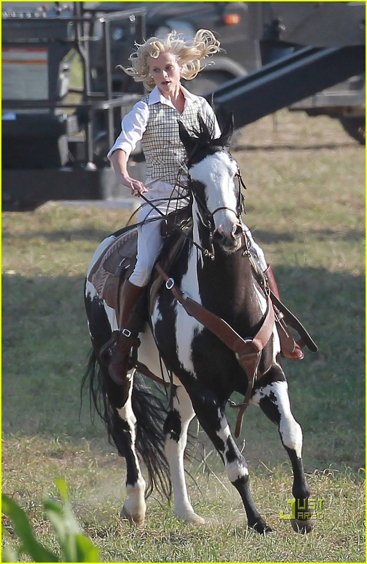 Water for Elephants Water for Elephants