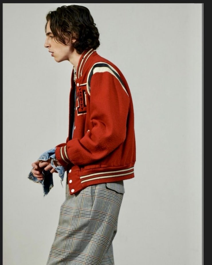 Timothée Chalamet