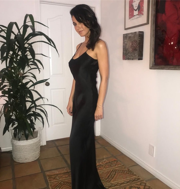 Emmanuelle Chriqui