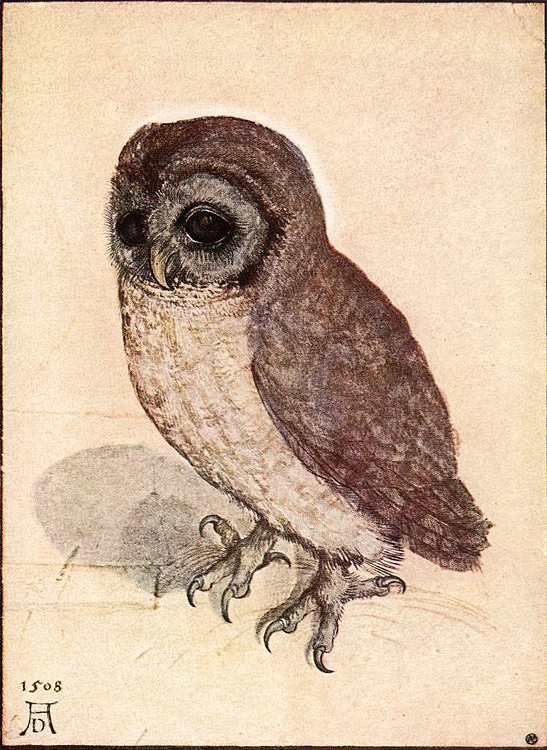 Albrecht Dürer