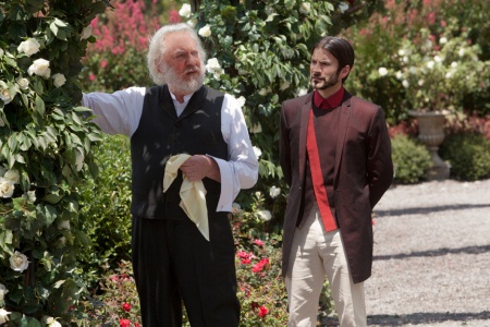 Seneca Crane