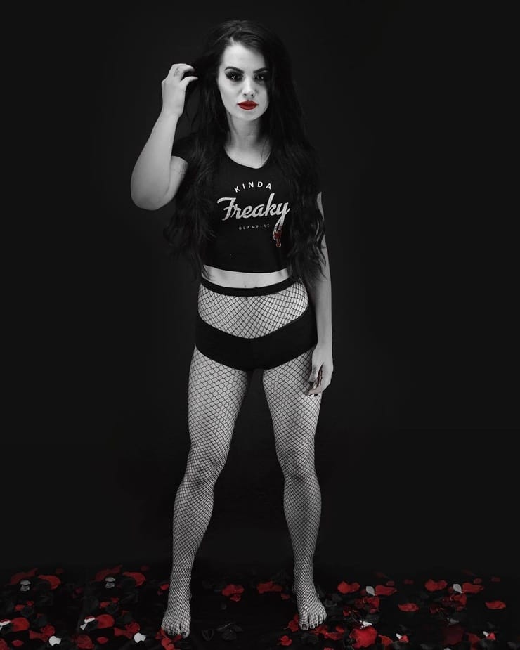 wwe paige doll