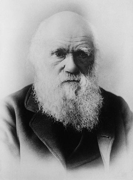 Picture of Charles Darwin