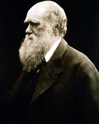 Picture of Charles Darwin