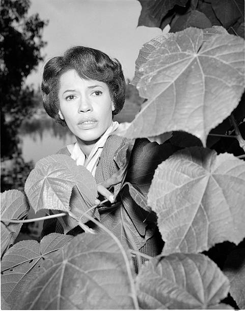 Diana Sands Diana Sands