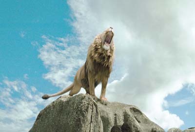 The Chronicles of Narnia: The Lion, the Witch and the Wardrobe The Chronicles of Narnia: The Lion, the Witch and the Wardrobe