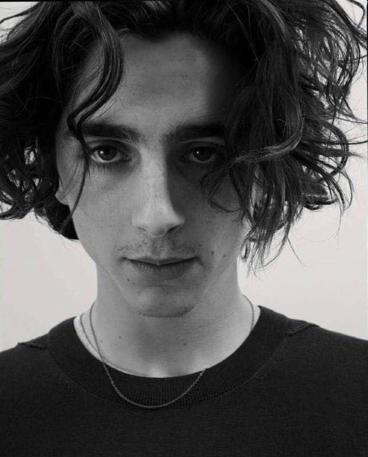 Timothée Chalamet