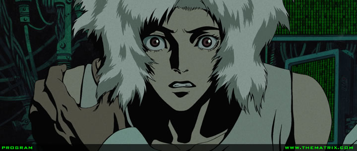 The Animatrix